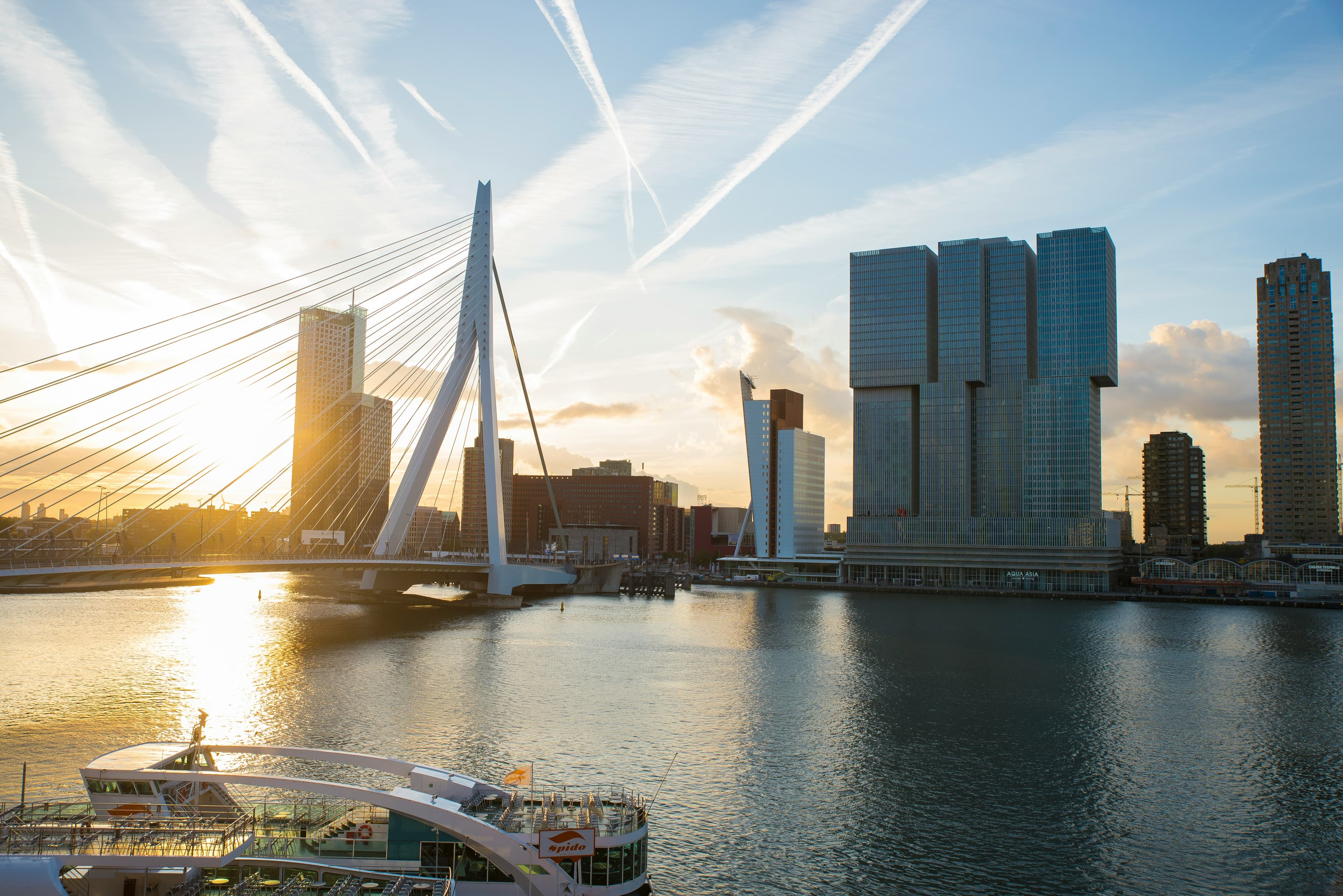 Rotterdam skyline near the Erasmus Bridge